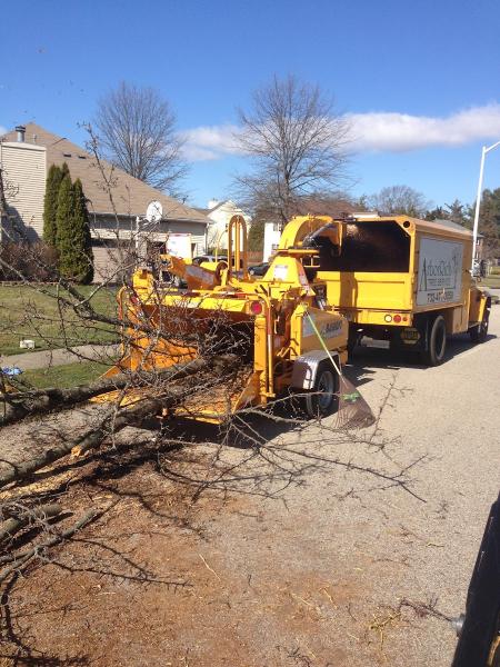 Arbor Rich Tree Service