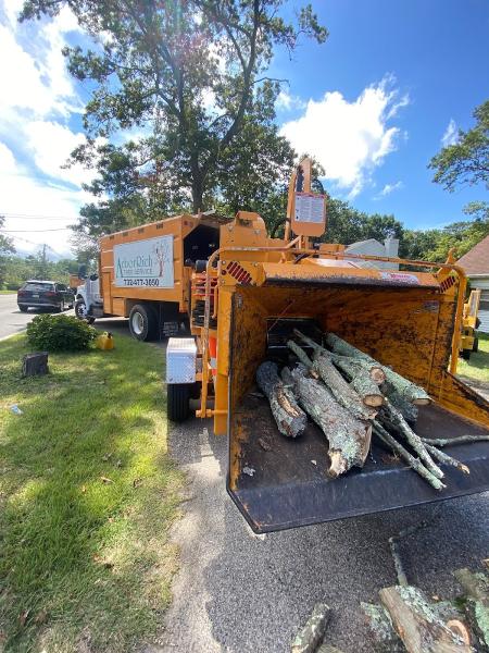 Arbor Rich Tree Service