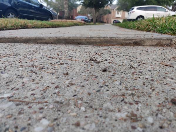 Discount Concrete Leveling