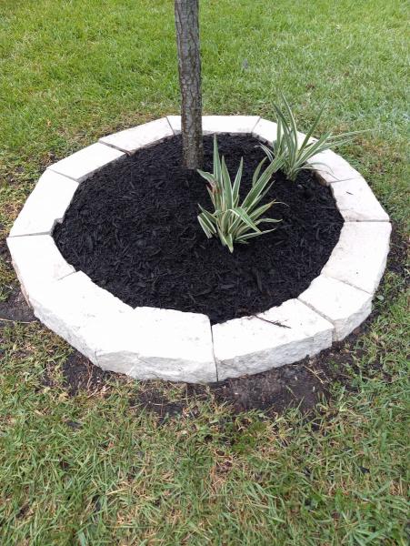 Design Yard Landscaping & Lawn Services