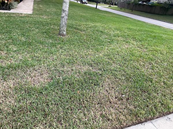 Pioneer Pest Services Inc.