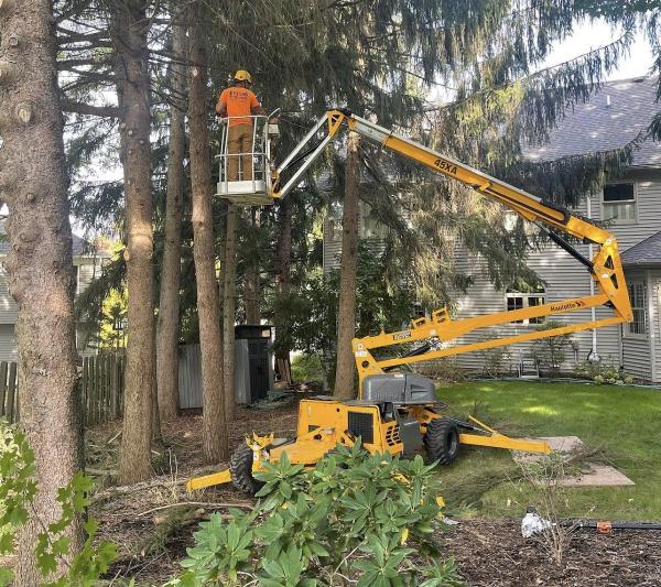 Pletcher Tree Service