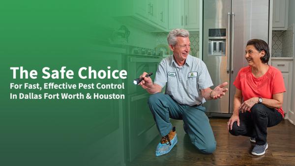 All-Safe Pest & Termite