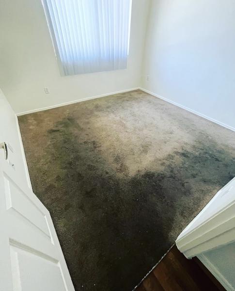 Emerald Cleaning Services L.l.c