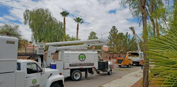 Affordable Tree Service