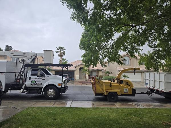 Affordable Tree Service