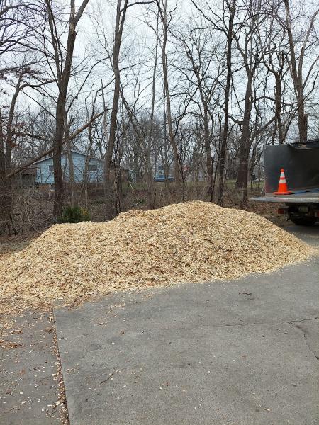 Emma Joes Tree Service