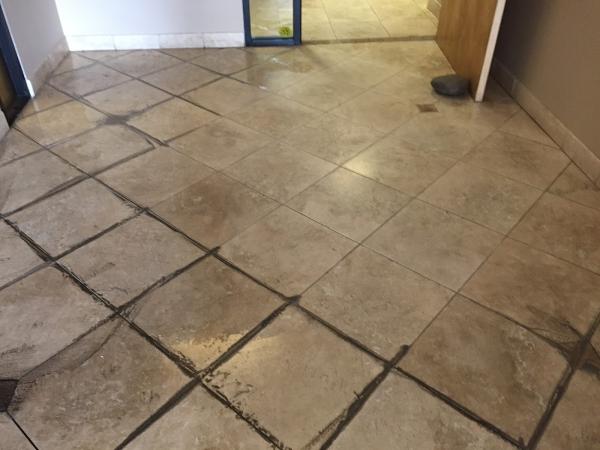 Spotless Carpet Care