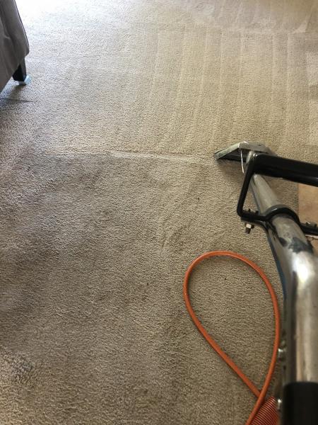Spotless Carpet Care