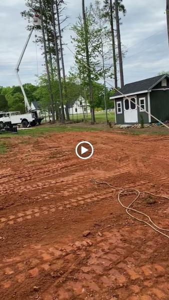 First Choice Tree Care