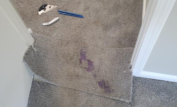 Valuclean Carpets