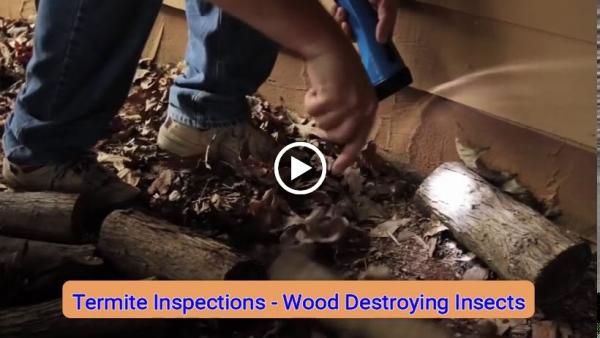 Act Pest Control