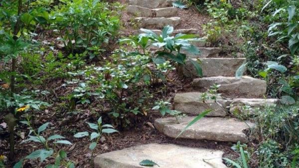 3 Elements Landscaping Inc