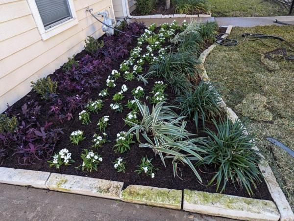 Nature Springs Landscaping