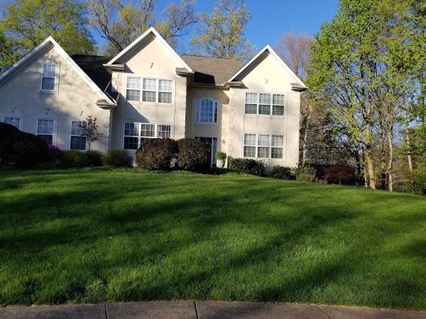 Green Giant Home & Commercial