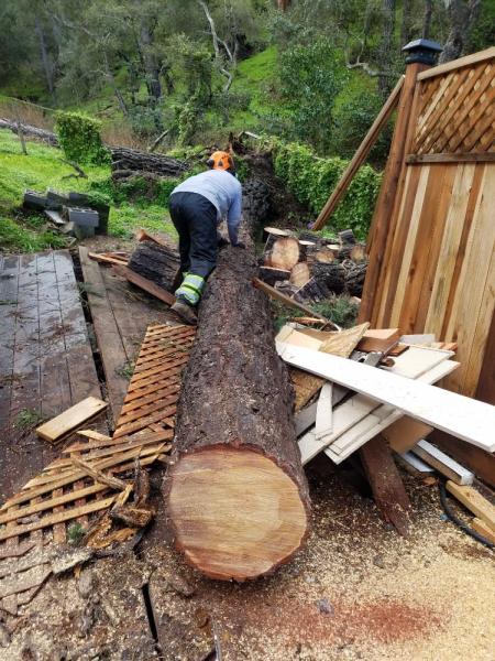Cruz Tree Service