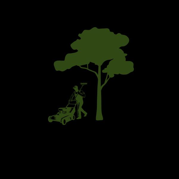 MV Landscaping