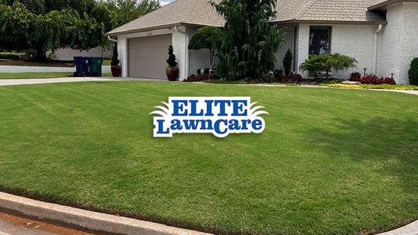 Elite Lawn Care