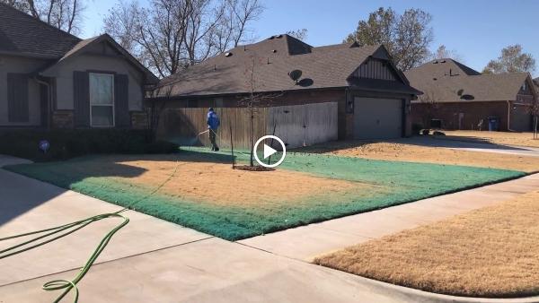 Elite Lawn Care