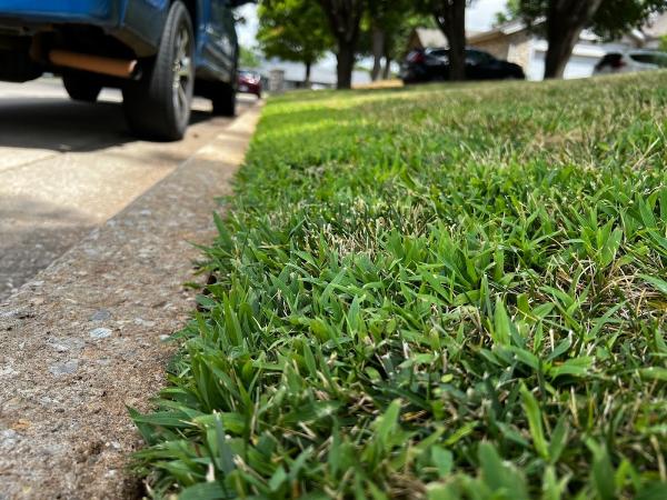 Elite Lawn Care