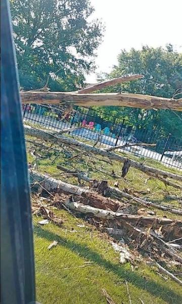 Billings Tree Services