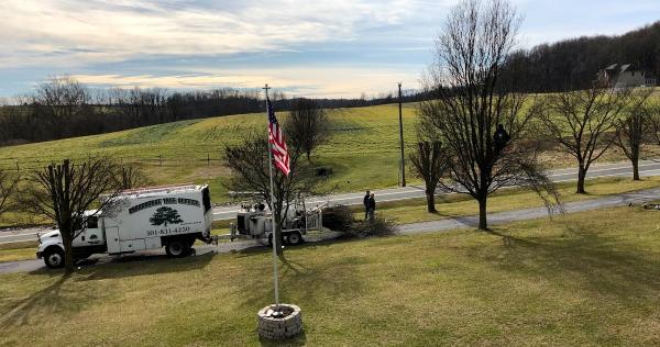 Broadhurst Tree Service
