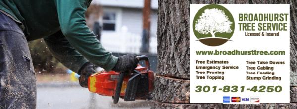 Broadhurst Tree Service