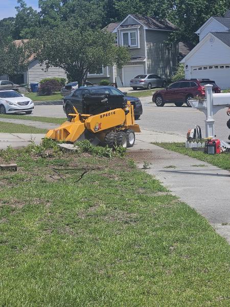 Coastal Tree Trimmers