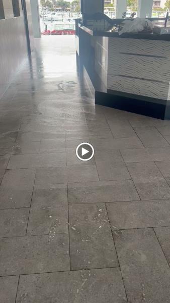 Dolphin Carpet Cleaning and Restoration