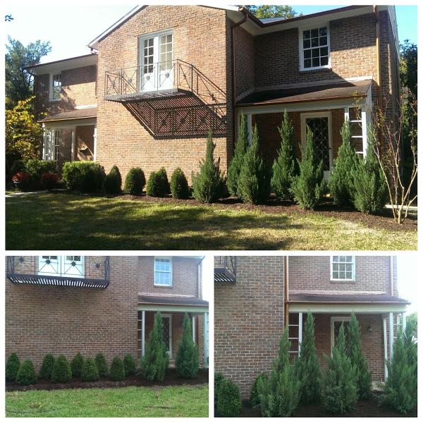 Contreras Lawn & Landscape