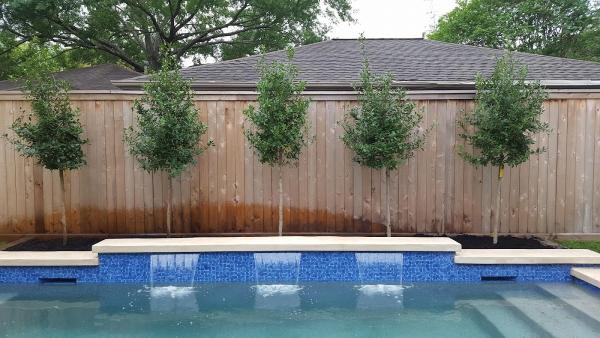 Contreras Lawn & Landscape