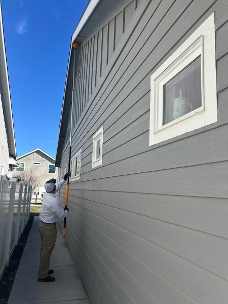 Hemi Pest Control