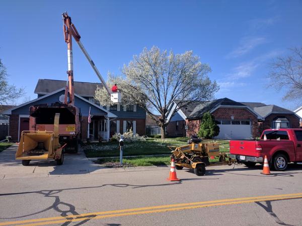 Glass City Tree Service