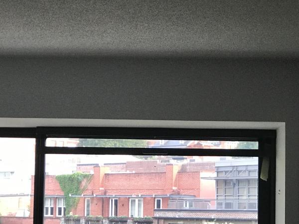 Hirise Windows