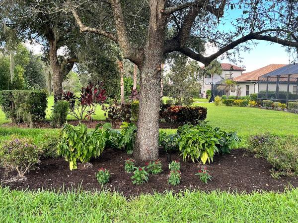Peer Landscaping