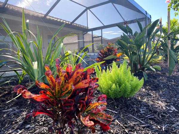 Peer Landscaping