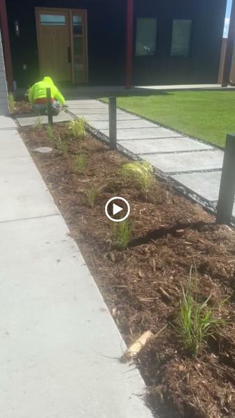 Vista Landscape Development