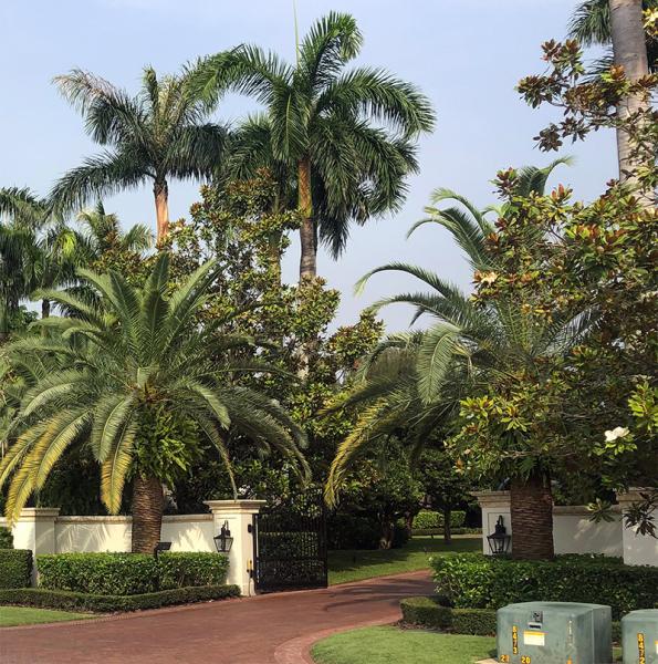 Prestige Landscaping Experts