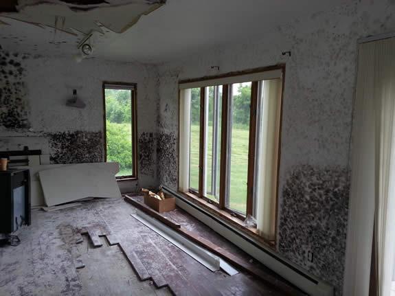 San Diego Mold Inspection Experts