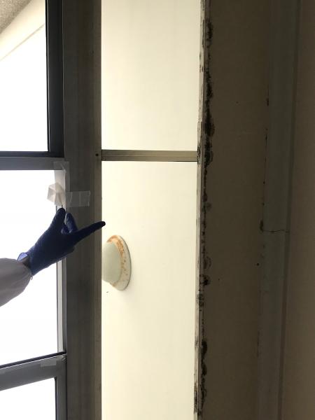 San Diego Mold Inspection Experts