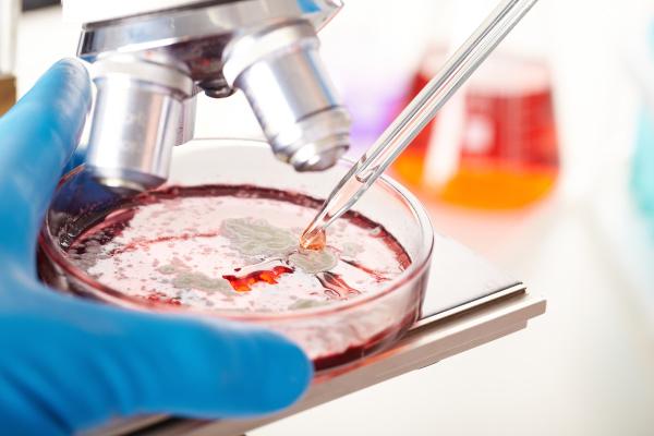 Quick Mold Labs