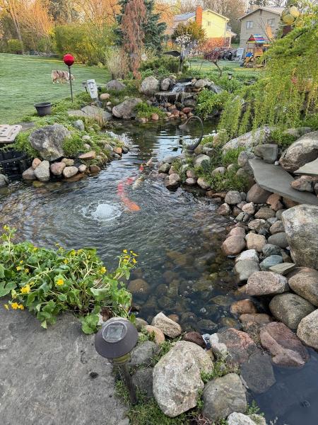 Waterscape