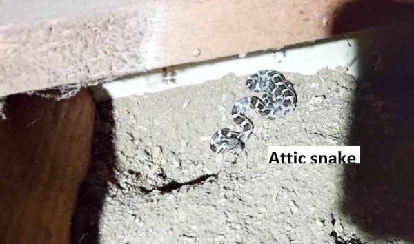 Above & Beyond Home Inspections LLC