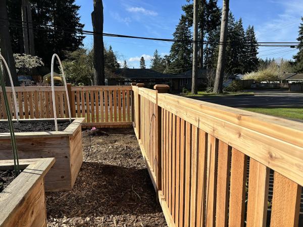 Alpine Fencing