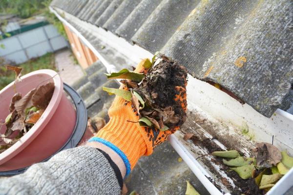 MBM Gutters Cleaning Services