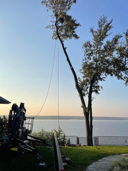 A & M Tree Service & Stump Grinding