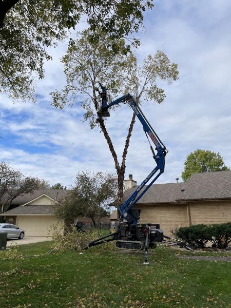 A & M Tree Service & Stump Grinding