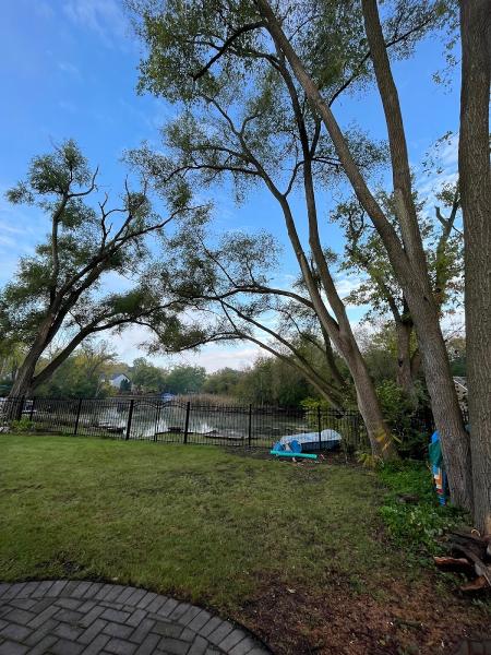 Mid-West Tree Service Inc