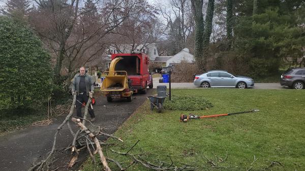 Lewis Tree Care Inc