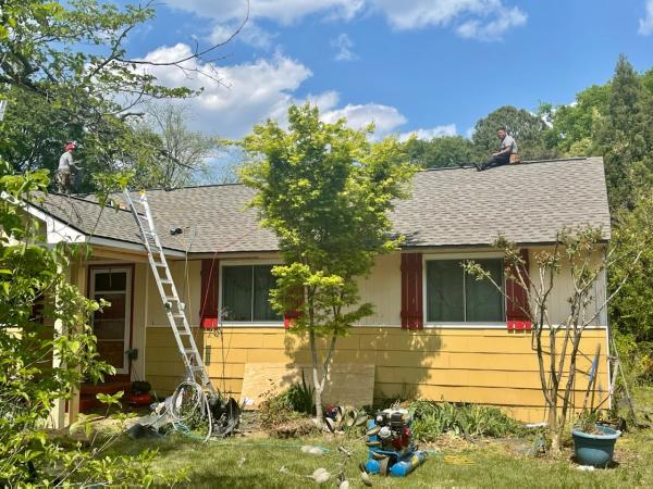 Roof Expert